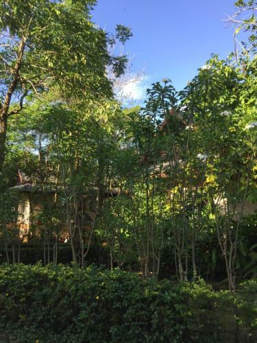 Hotel Khaoyai Nature Retreat
