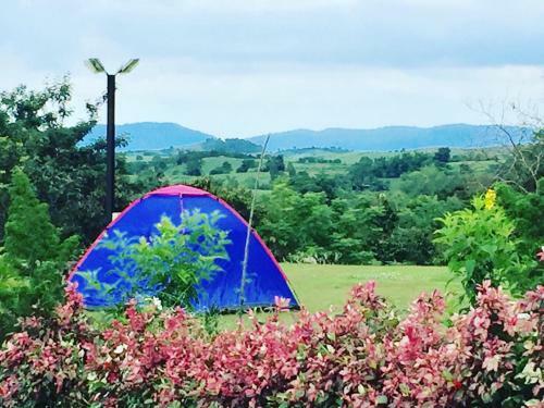 Hotel Khaoyai Nature Retreat
