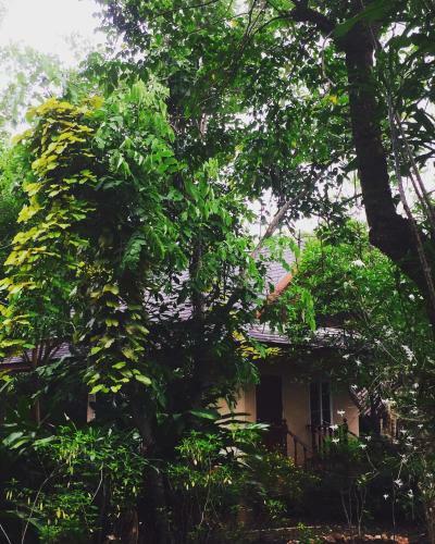 Hotel Khaoyai Nature Retreat