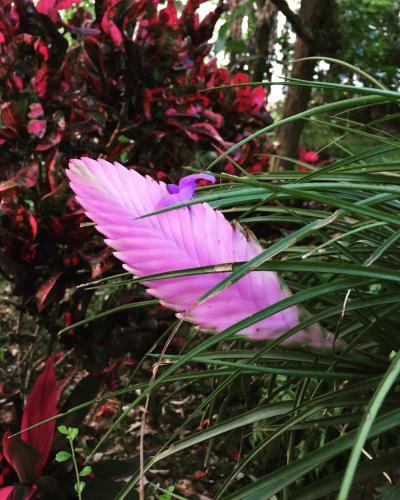 Hotel Khaoyai Nature Retreat