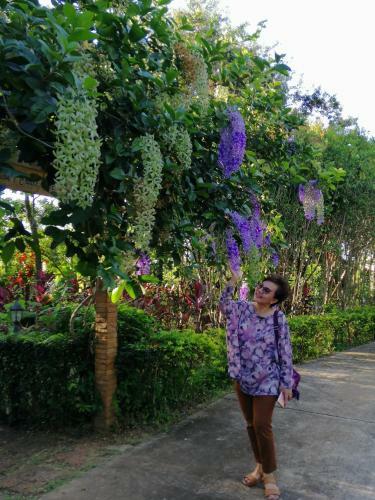 Hotel Khaoyai Nature Retreat