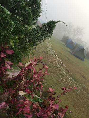 Hotel Khaoyai Nature Retreat