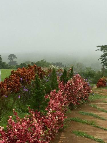 Hotel Khaoyai Nature Retreat