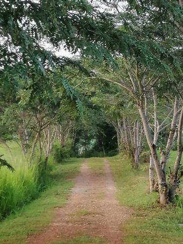 Hotel Khaoyai Nature Retreat