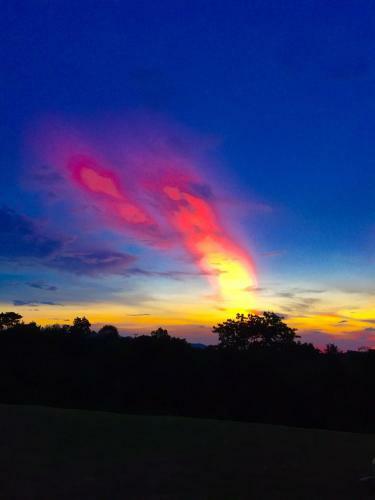 Hotel Khaoyai Nature Retreat