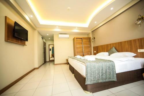 Hotel Fatsa Safi?r Otel