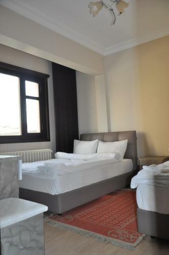 Hotel Kent Ani