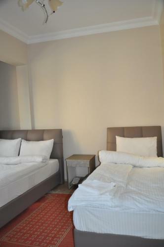 Hotel Kent Ani