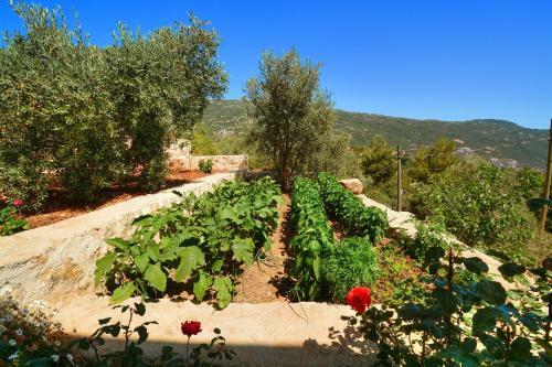 Private Villa Cennet