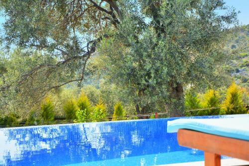 Private Villa Araf