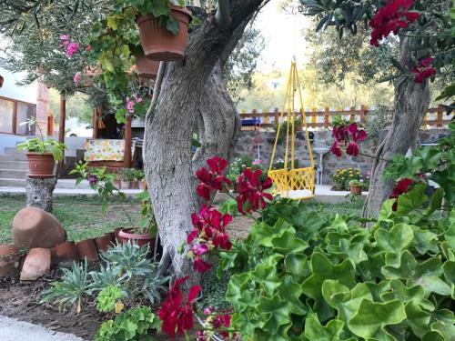 Assos Nazan Motel Restoran Beach