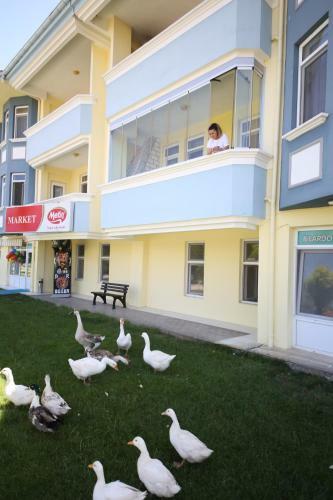 Apartamento Basaranlar Thermal Otel