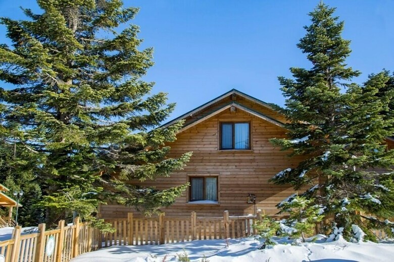 Lodge Uludag Orman Koskleri