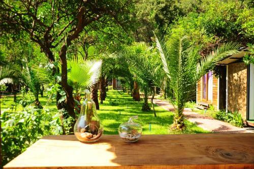 Agroturismo Likya Evleri Olympos