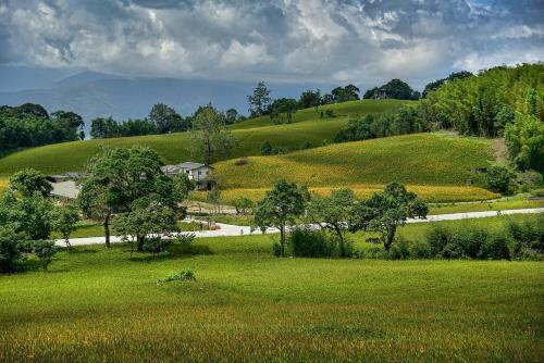 Hong Guo Homestay