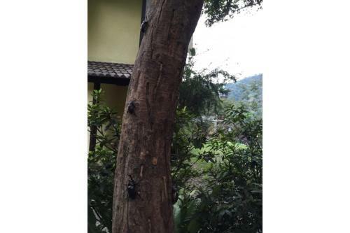 Hostal Jia Yuan Holiday