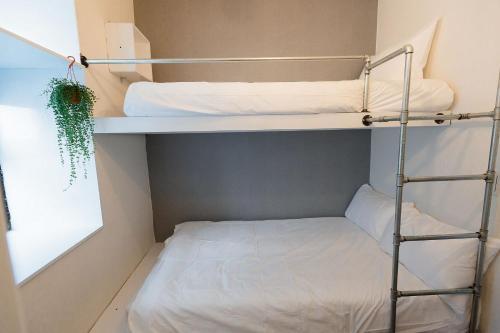 Albergue May Rooms Taipei Ntu