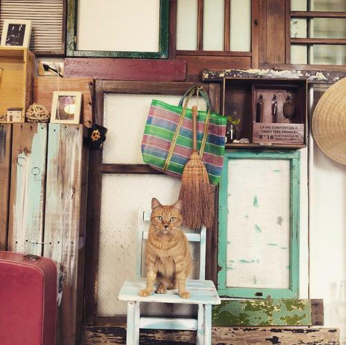 Apartamento Meo-woo Cat Travel