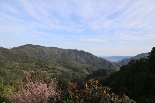 Upon The Hill