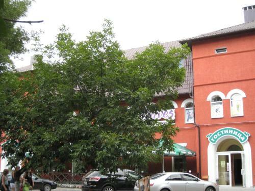 Chili Hotel