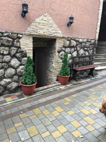 Hostal Guest House Zhanna