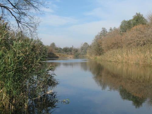 Lodge Fishing Park