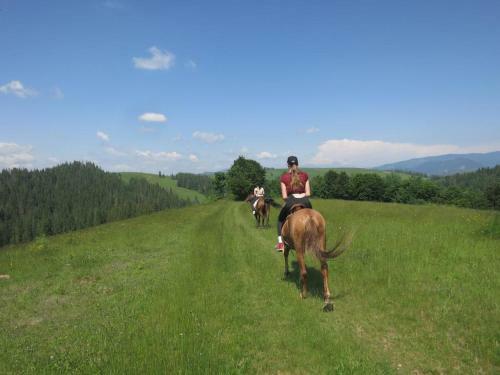 Hostal Sadyba Volosky Potik