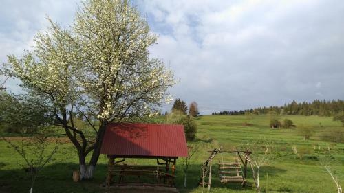 Hostal Guest House Gostynna Rodyna