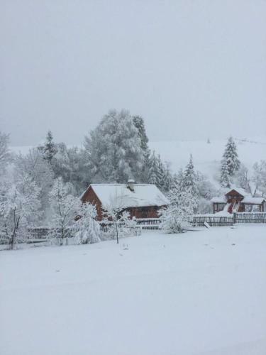Derevjanyj Cottage