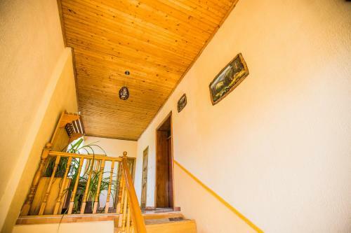 Hostal Guest House In Drachino
