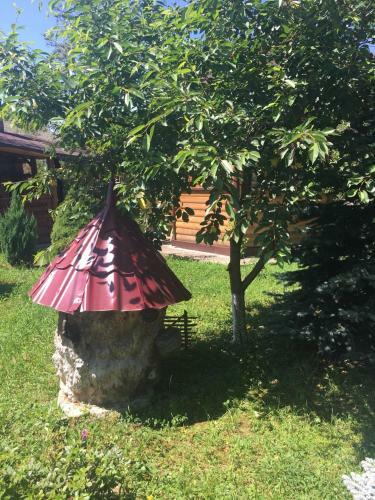 Apartamento Karpati Life
