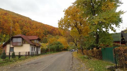 Hotel Sadyba Zatyshna