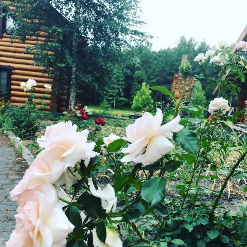 Hostal Gostynna Sadyba Kit Bayun