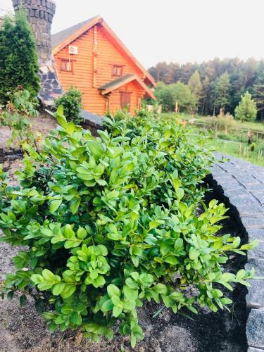 Hostal Gostynna Sadyba Kit Bayun