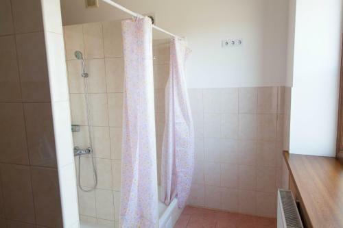 Albergue Alekselena