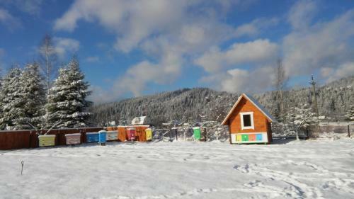 Hostal Karpatskyi Gomin