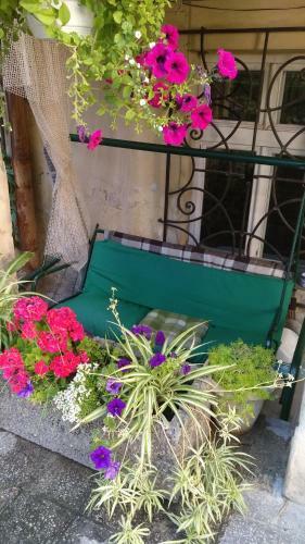 Cozy Apart In Lviv Center