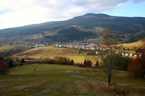 Hostal Penzion U Hanky