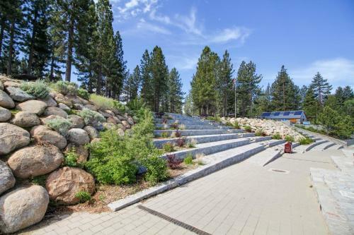 Pine Tree Getaway