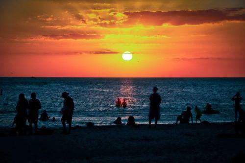 Apartamento 423 - Island Inn