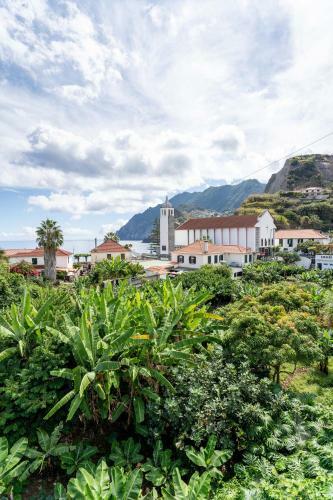 Albergue Madeira Surf Camp