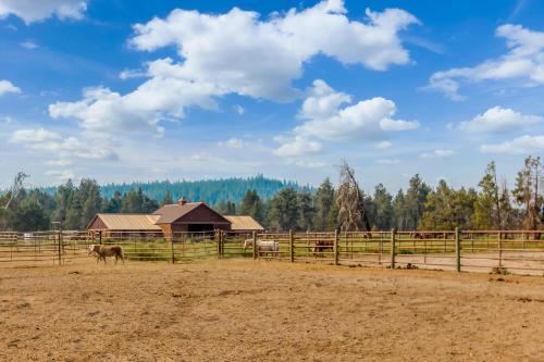 Fox Lane 09 | Discover Sunriver