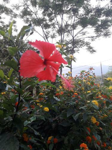 Bed & Breakfast Mai Ti?n Homestay.188