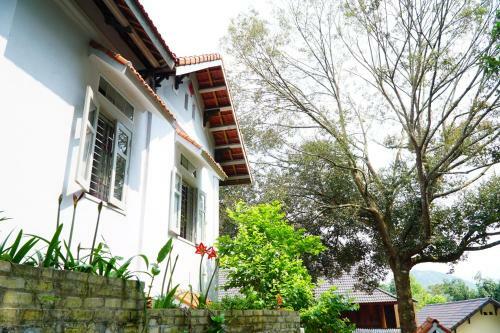 Huy Trung Homestay