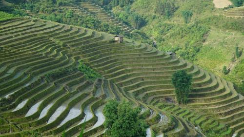 Huy Trung Homestay