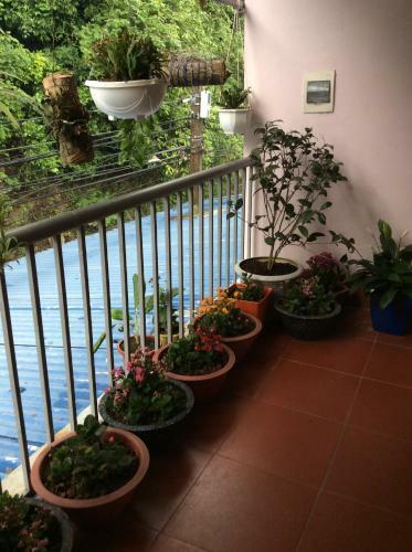 Hostal Anh Ng?c Homestay