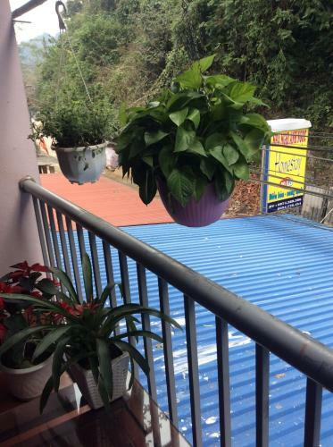 Hostal Anh Ng?c Homestay