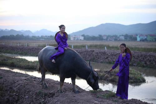Phong Nha Tarzan's Homestay