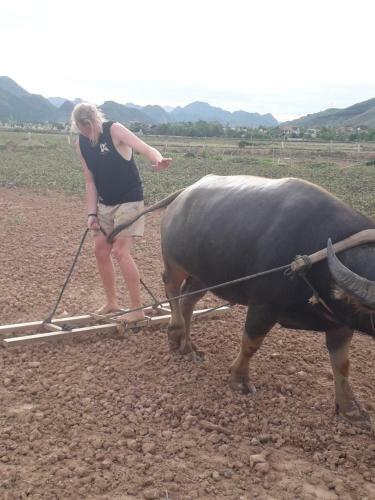 Phong Nha Tarzan's Homestay