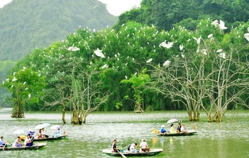 Nam Kh�nh Coffee & Homestay